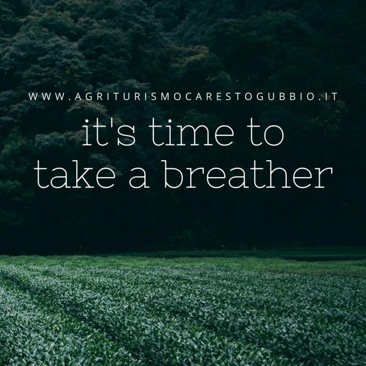 Un agriturismo situato nella campagna umbra, adatto per una sosta tranquilla in un ambiente naturale.