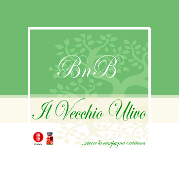 ilvecchioulivo.com-bnb-orvieto