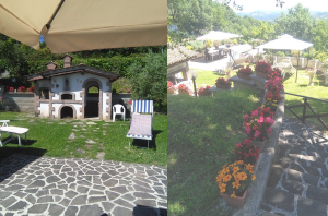 Outdoor space with a wood-fired oven, blooming plants, and loungers for relaxation.