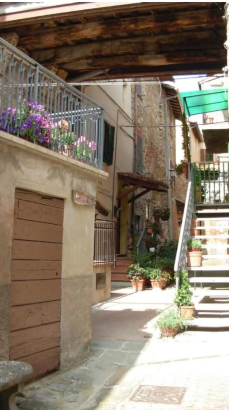 Eine schmale Straße in einem Dorf, geprägt von typischen Pflanzen und architektonischen Elementen.