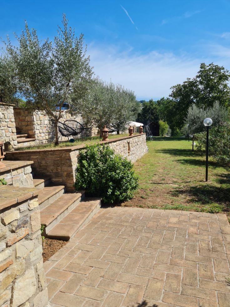 Ein Außenbereich mit Olivenbäumen und grünen Flächen, perfekt für entspannende Momente in der Natur.