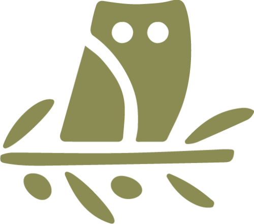 A renovated palace blending traditional elements with modern comforts, located in a green area of Umbria.