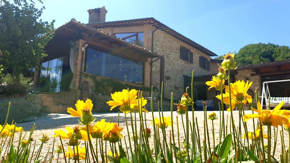 Un edificio in pietra immerso in un'area verde con fiori gialli intorno, perfetto per momenti di relax.