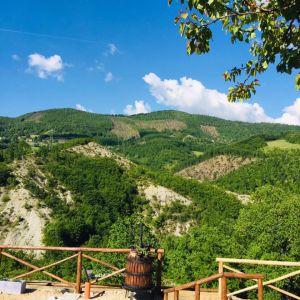A hilly landscape featuring lush green vegetation and a clear blue sky.