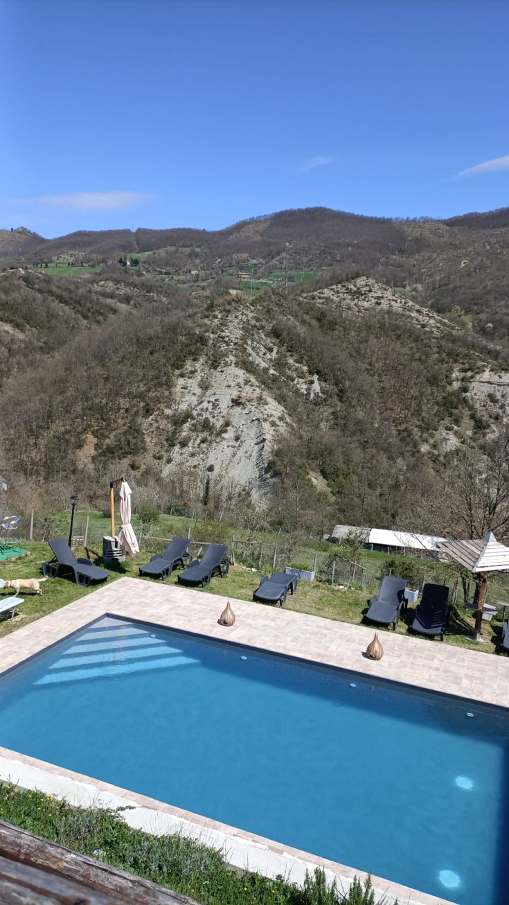 A green pool surrounded by trees and vegetation, perfect for moments of relaxation and tranquility.