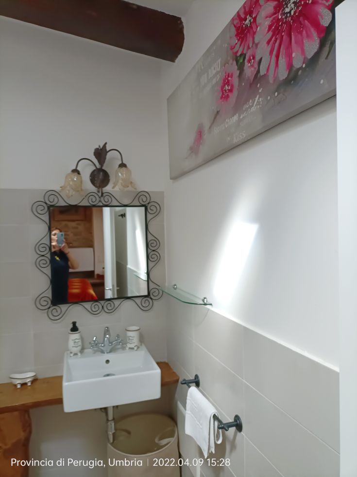 A simple bathroom with some decorations and an ornate mirror.