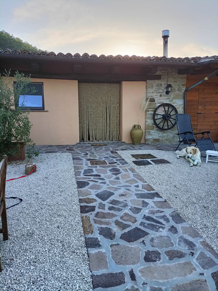 A cozy structure with a stone path and a calm dog in the garden.