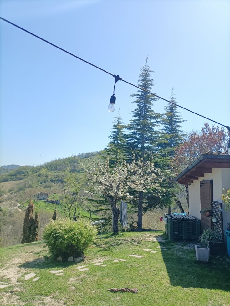 A peaceful farmhouse surrounded by blooming trees and a clear sky, set in a natural environment.