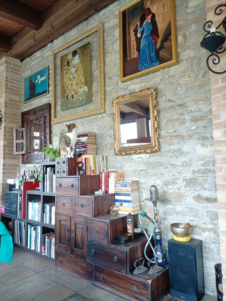 A simple room, with books on a shelf and a cat moving between the furniture.