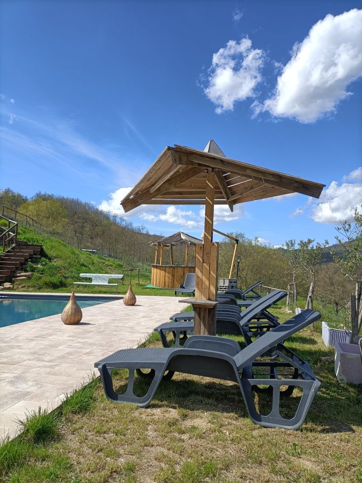 Swimming pool surrounded by greenery, bathed in sunlight, ideal for relaxation moments.