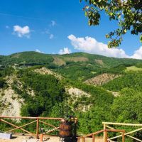 A serene view of green hills, perfect for moments of tranquility.