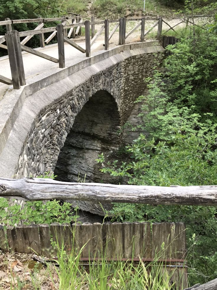 Un ponte in pietra semplice, immerso in un'area verde con piante e alberi circostanti.