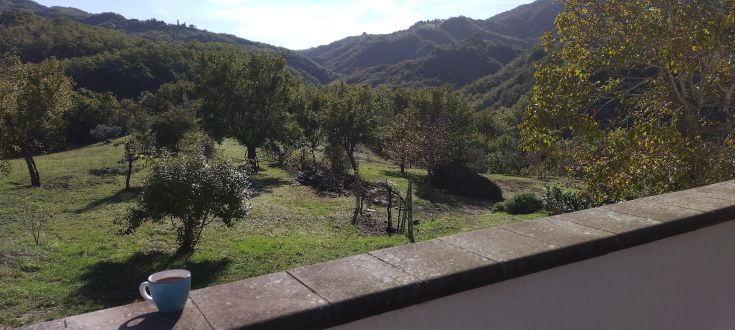 Scena tranquilla di un paesaggio con una tazza di caffè posata in primo piano.
