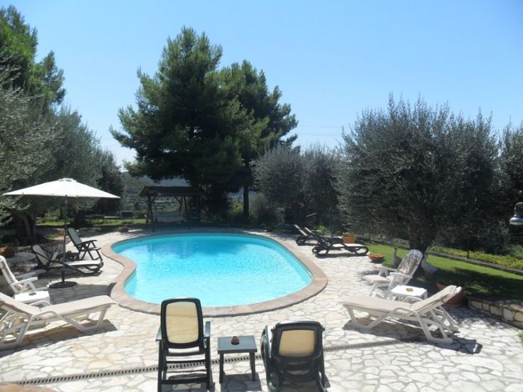 A pool nestled in greenery, surrounded by olive trees and blooming flowers. A perfect spot for relaxation in nature.