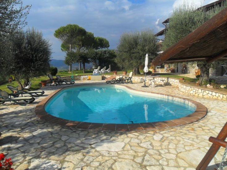 A peaceful environment with a pool surrounded by olive trees, perfect for relaxing in nature.