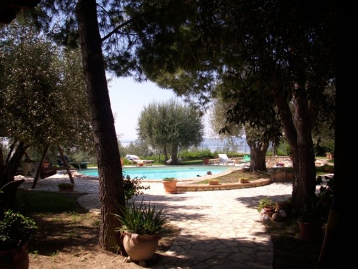 A pool located in a peaceful setting, surrounded by olive trees and plants, perfect for relaxation.