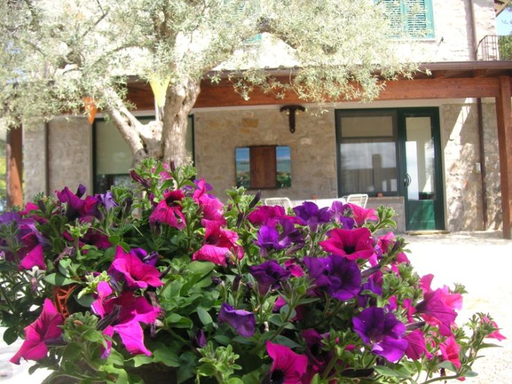 A scene depicts colorful flowers in a palace garden, surrounded by lush greenery.