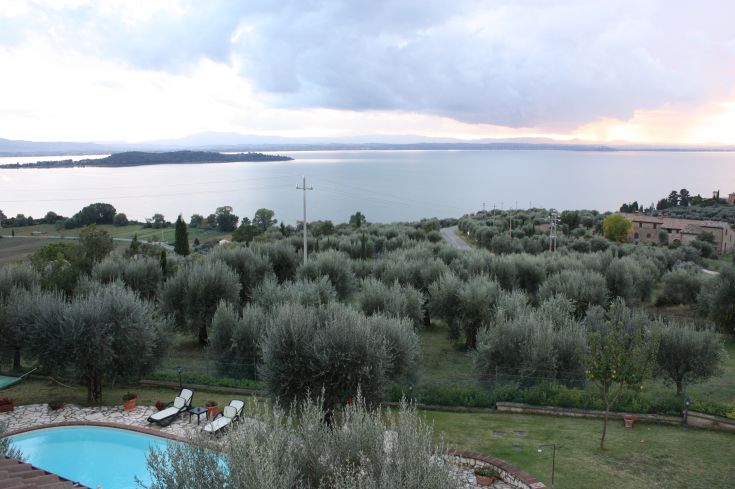 A view of Lake Trasimeno, surrounded by olive groves and hills, perfect for moments of tranquility.