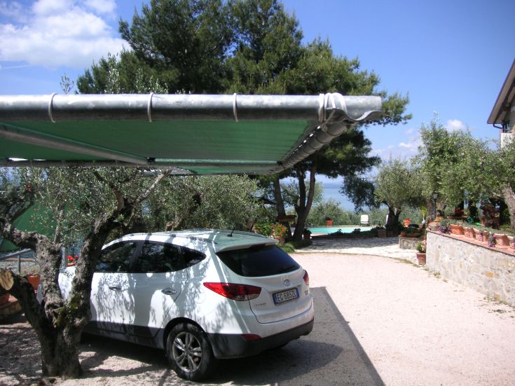 A car parked in a serene environment, surrounded by olive trees under a clear sky.