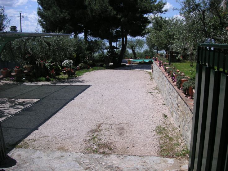 A quiet outdoor space with olive trees, perfect for a break in the greenery.