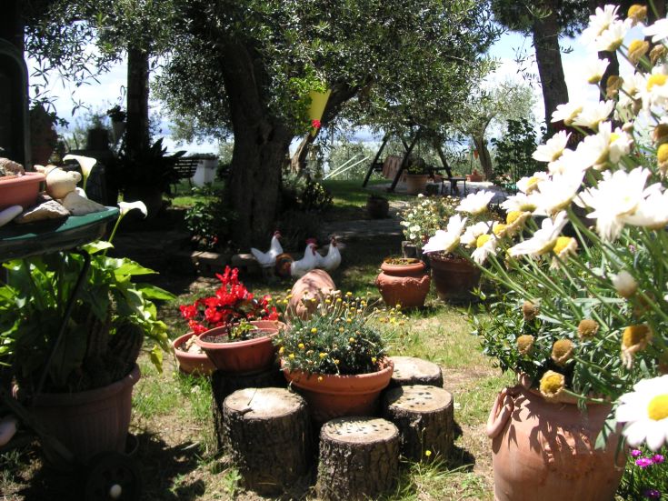 Garden with colorful plants and flowers, home to some ducks, perfect for relaxing moments.