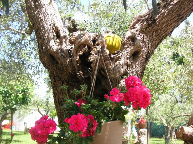 A tree with colorful flowers in a peaceful green environment.