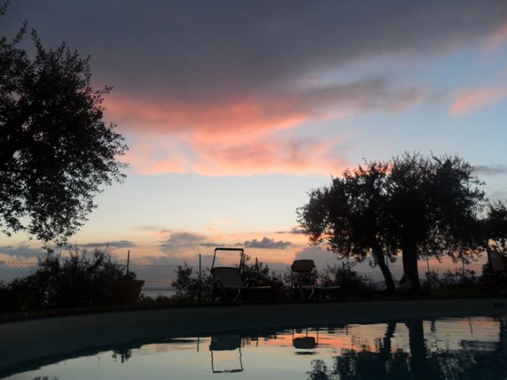 Sunset scene by a lake with a pool, surrounded by olive trees and a sky of blended colors.