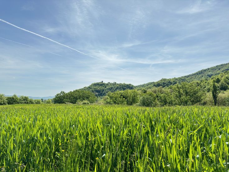 Un vaste champ vert s'étend sous un ciel dégagé, avec des collines douces se profilant à l'arrière-plan.