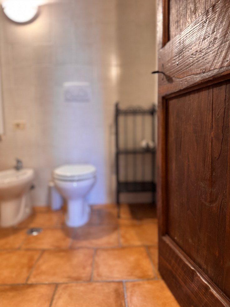 Une salle de bain chaleureuse et accueillante avec un sol en terre cuite et des meubles en bois.