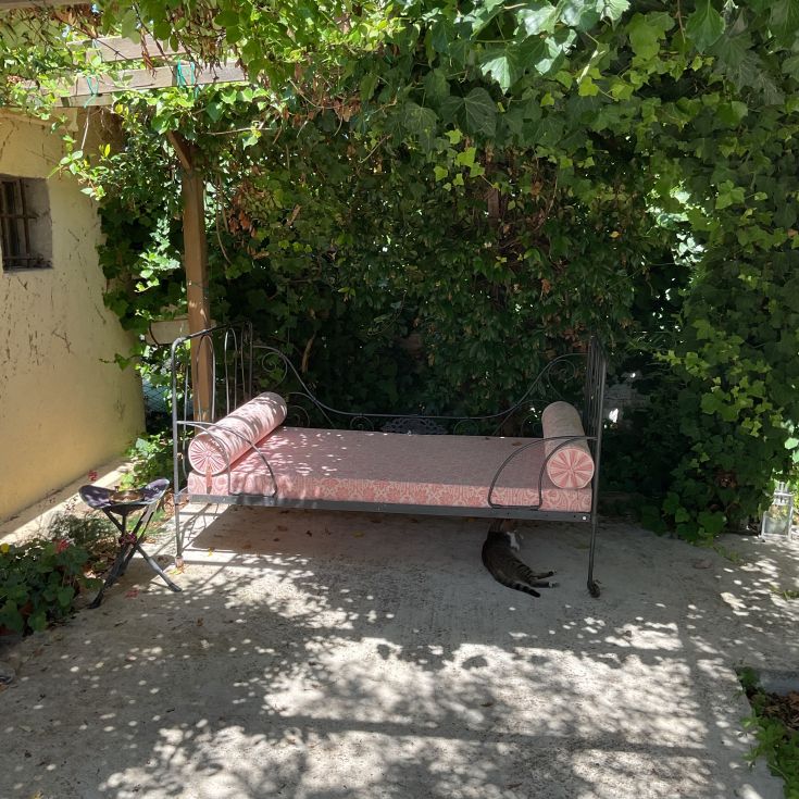 Ein Bett aus Schmiedeeisen steht in einem grünen Garten, umgeben von Pflanzen und schattigen Bereichen.