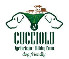 Titolo: IL CUCCIOLO