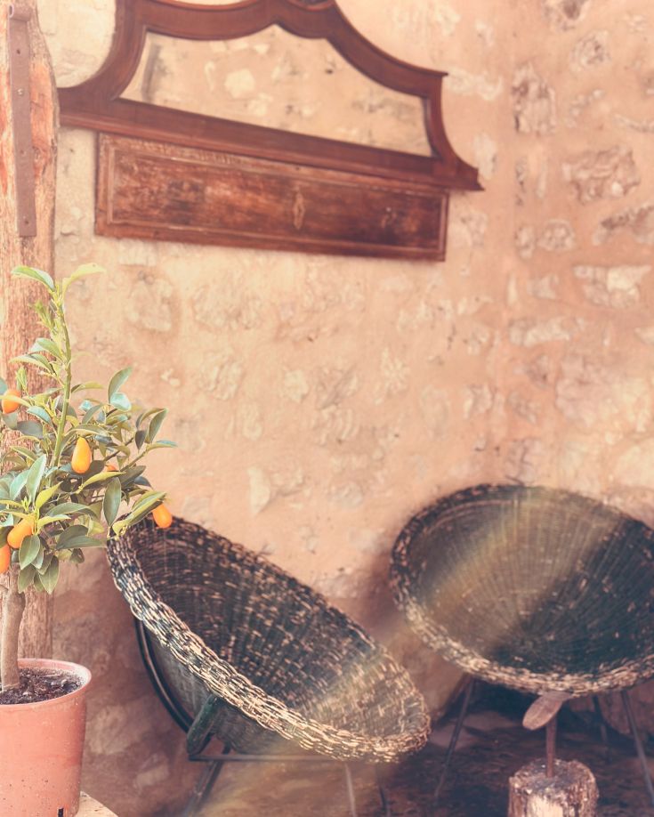 Ein ruhiger Bereich mit einzigartigen Stühlen und einem Kumquatbaum, ideal zum Entspannen.