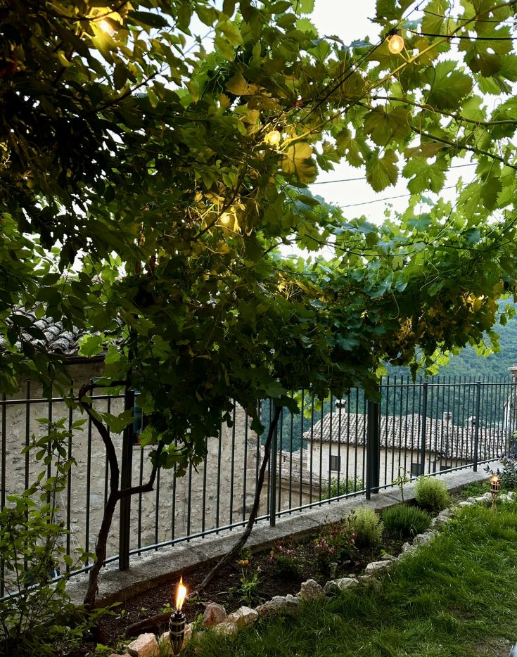 Ein Garten, der mit Reben und hellen Dekorationen geschmückt ist, ideal für ruhige Momente.