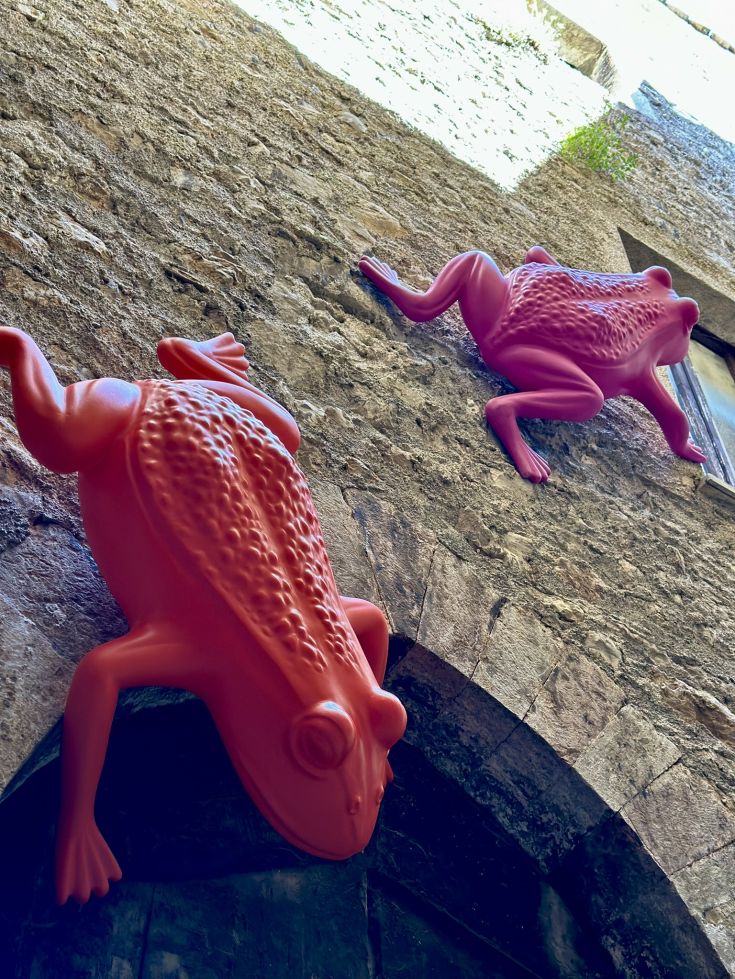 Stilisierte rosa Frösche schmücken eine Steinwand und erzeugen einen einzigartigen visuellen Effekt.