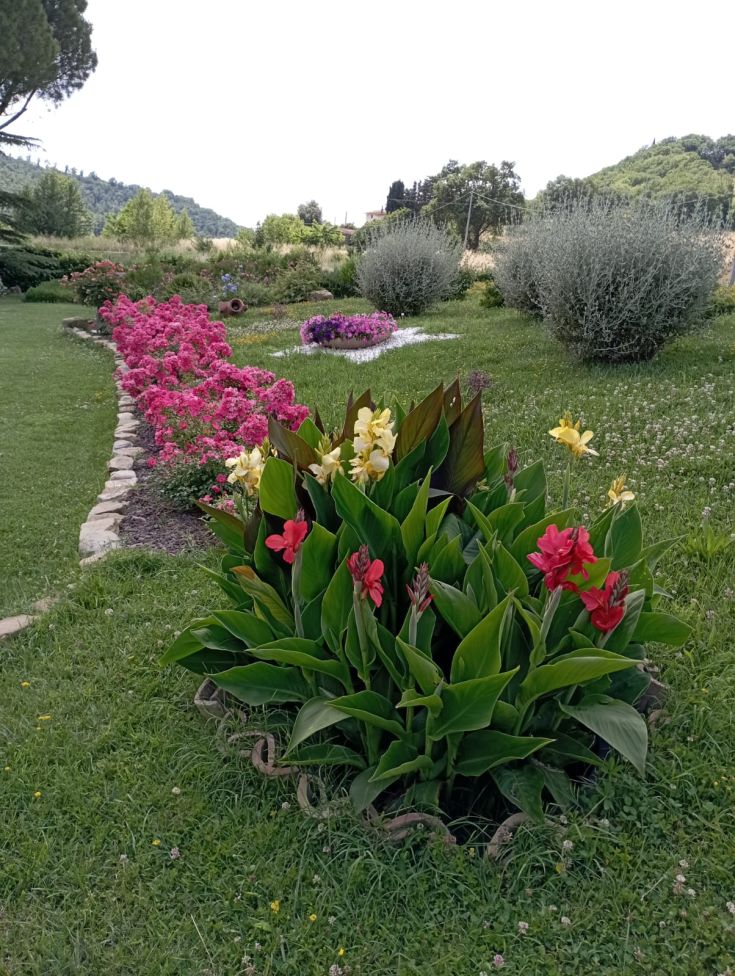 A garden with colorful flowers and various plants, surrounded by a peaceful landscape.