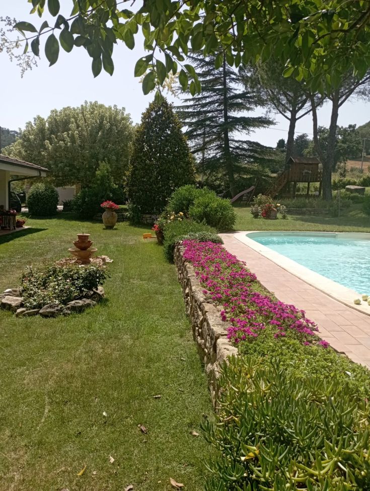 Spacious garden with plants and a pool perfect for relaxation.
