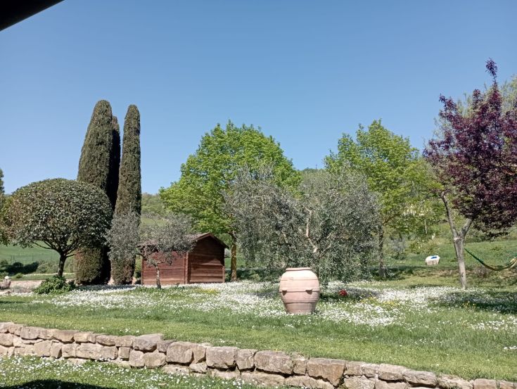 A spacious garden with plants and lawns, featuring a wooden structure, perfect for moments of tranquility.