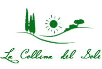 Agriturismo situato in una zona verde dell'Umbria, offre alloggi confortevoli e una piscina panoramica.