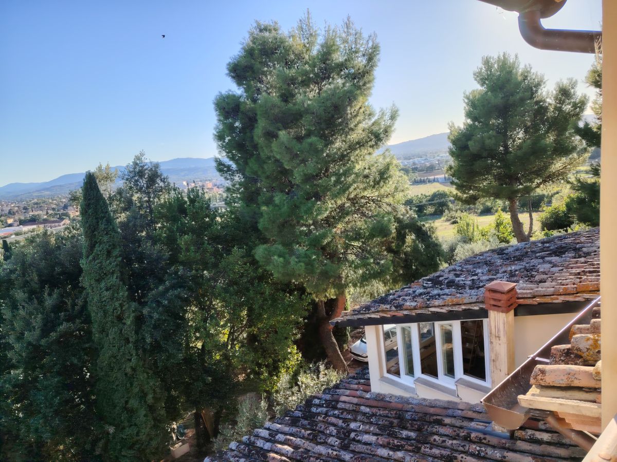Panorama con alberi e case visibili in lontananza da una collina.
