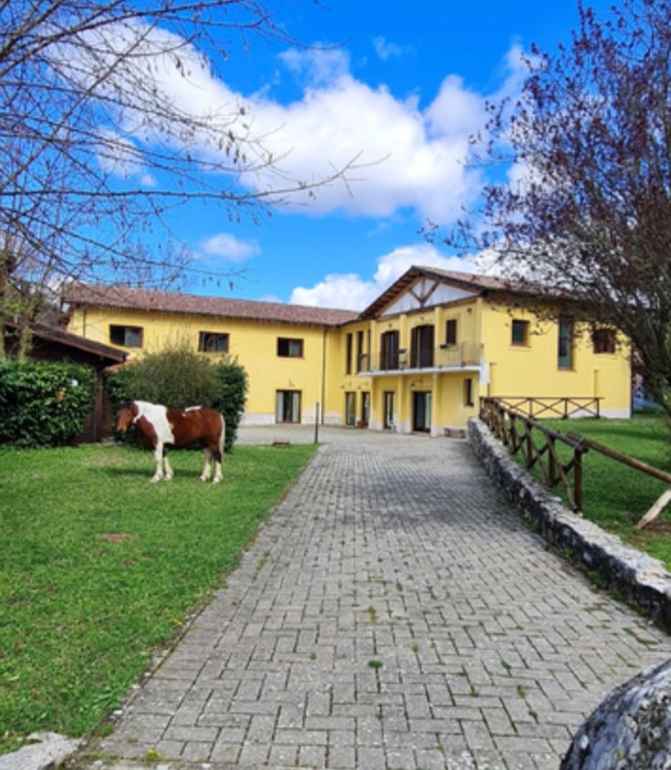 Un edificio giallo circondato da piante verdi, con un cavallo che si trova nel giardino e un cielo soleggiato.