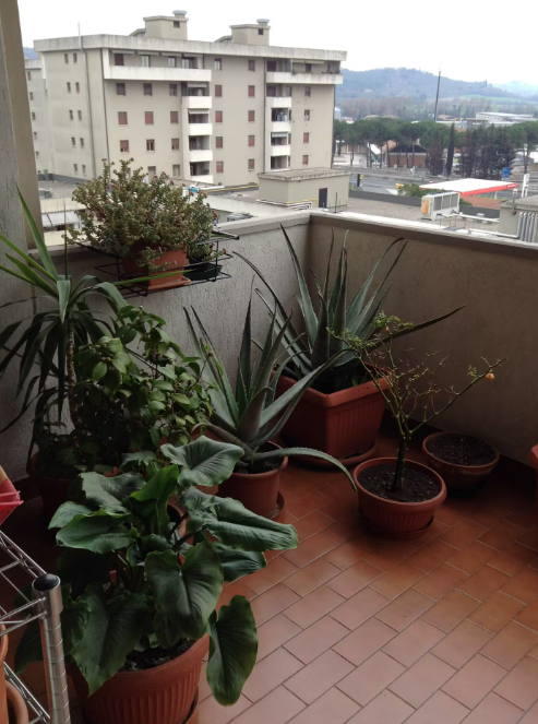 Un balcone con piante verdi, che offre un panorama sulla città circostante.
