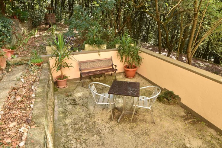 Un espace extérieur paisible avec des plantes, une table et des chaises, entouré de verdure.