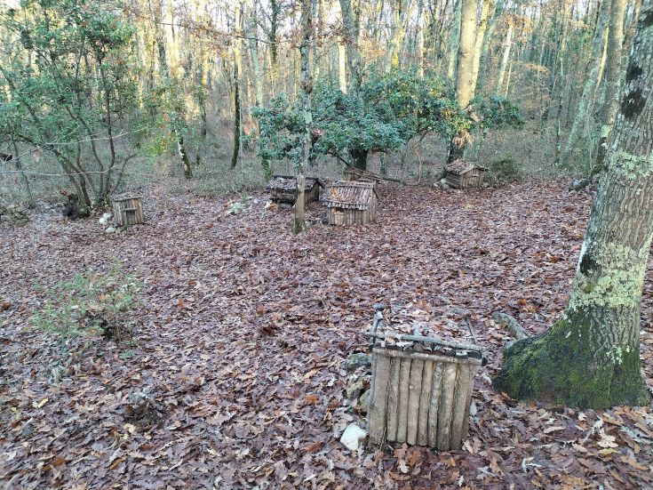 Une zone tranquille dans les bois, caractérisée par des abris en bois modestes entourés de feuilles sèches.