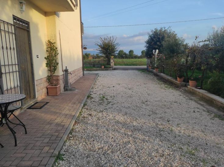 Scena del giardino di Casa Primavera con vialetto che si snoda tra le piante e un'area verde curata.