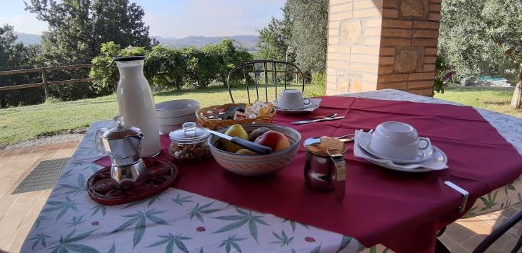 Ein Tisch mit frischen Produkten und Getränken, umgeben von Natur. Perfekt, um das Frühstück im Freien zu genießen.