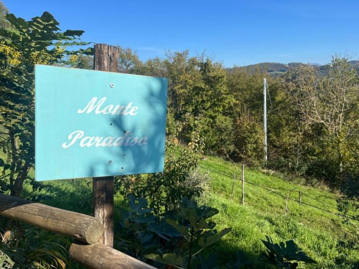 A street sign pointing towards Monte Paradiso, surrounded by lush vegetation.