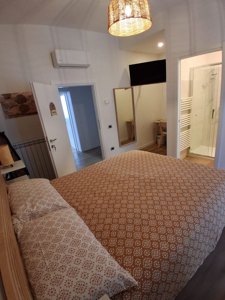 Bright room with simple decor, featuring a private bathroom and a TV.