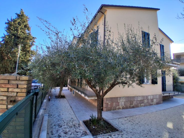 Scene of a garden with olive trees and a simple building. A tranquil space for relaxation.