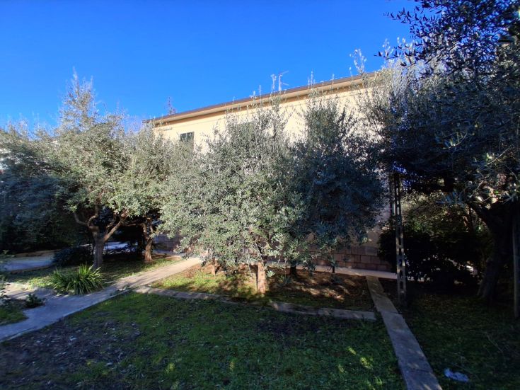 A view of a garden with olive trees, featuring a light-colored building in the background.