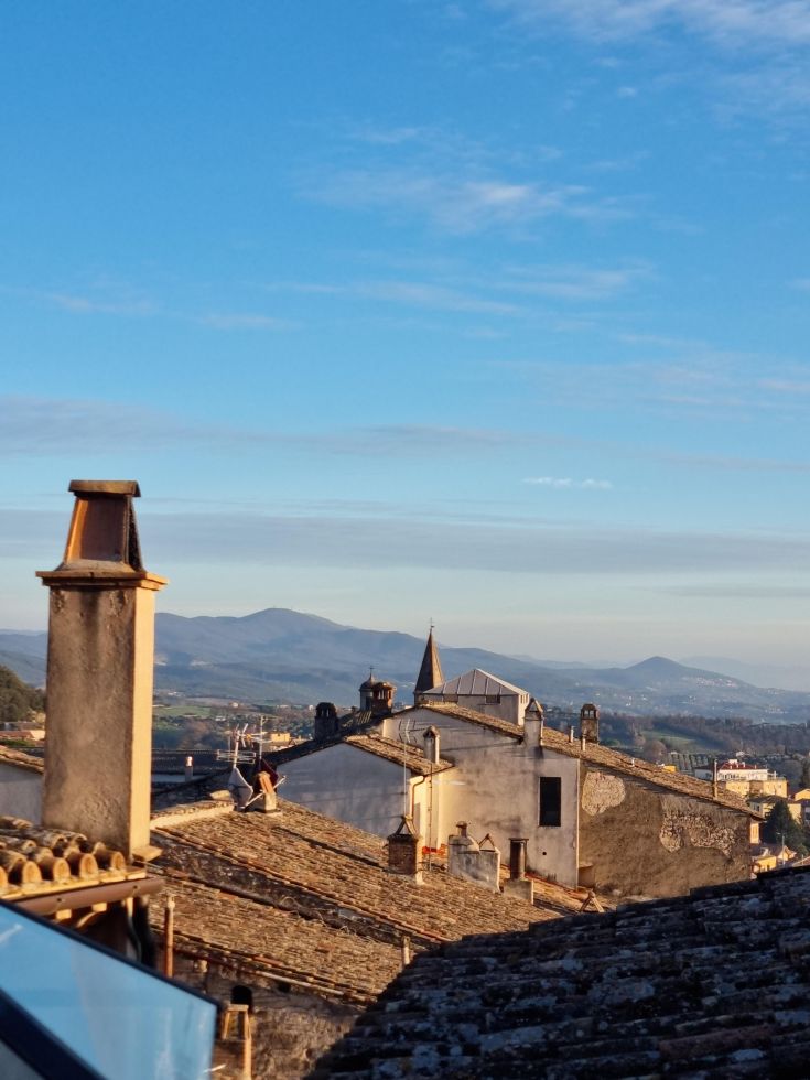Panorama of Amelia's rooftops with gentle hills and a clear sky in the background.